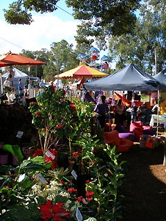 The colourful Bangalow markets