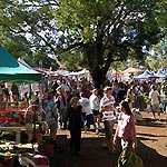 Bangalow markets always attract a crowd