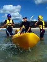 Kayaking with the dolphins is an adventure not to be missed