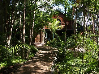 A lush oasis amongst palm trees - that is PLANULA