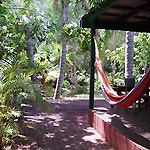 Chill out in the shady hammock