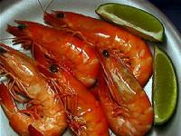 Farming prawns using indoor ponds is becoming more popular in Australia